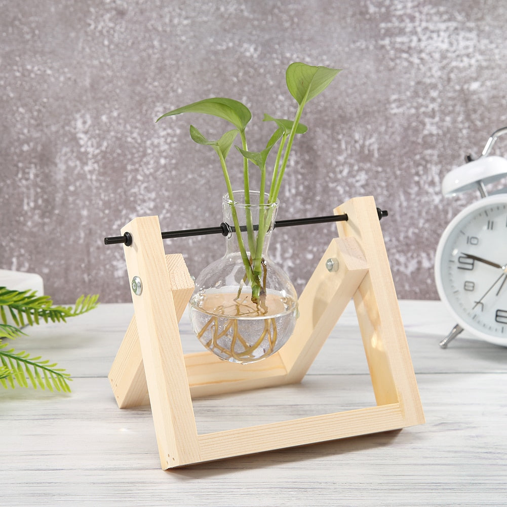 Wood Vase Planter Terrarium