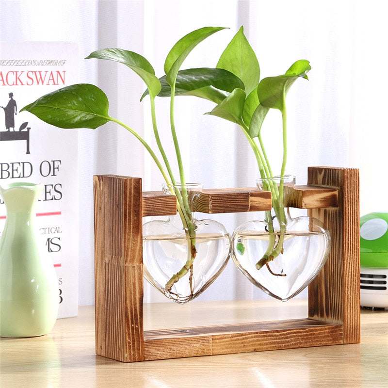 Wood Vase Planter Terrarium