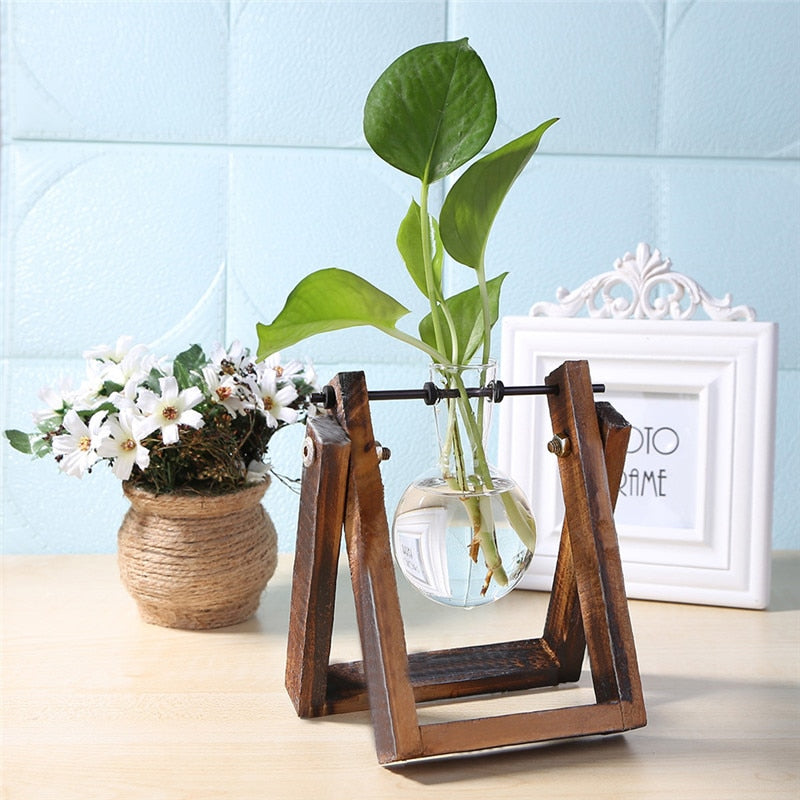 Wood Vase Planter Terrarium