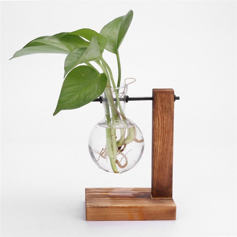 Wood Vase Planter Terrarium