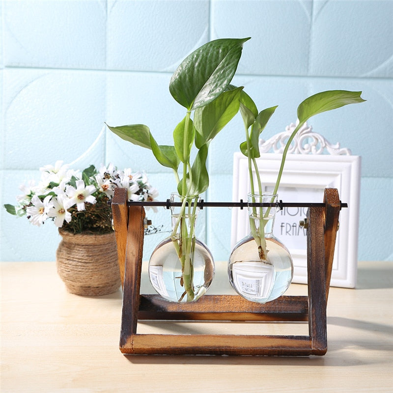 Wood Vase Planter Terrarium