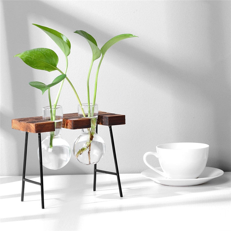 Wood Vase Planter Terrarium