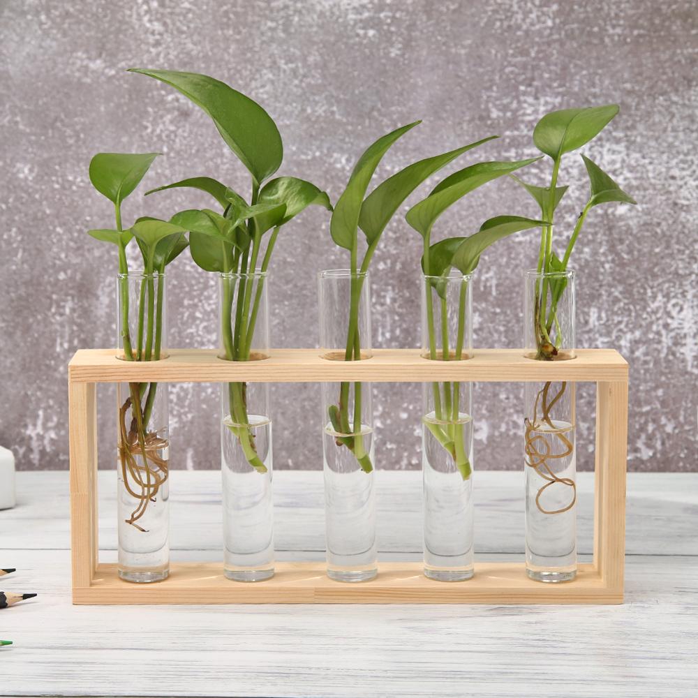 Wood Vase Planter Terrarium