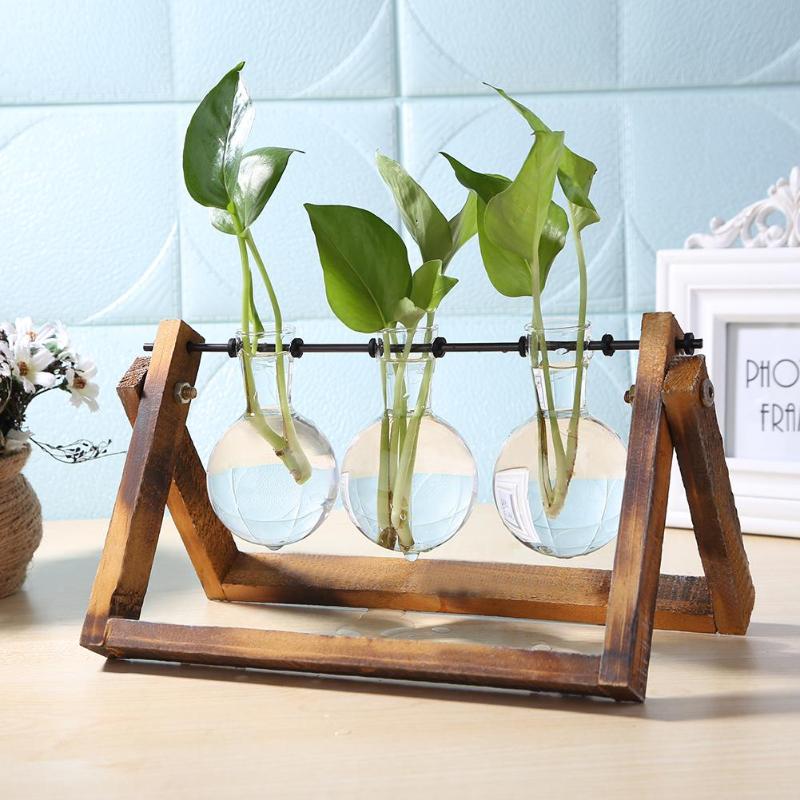 Wood Vase Planter Terrarium